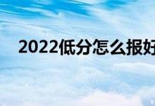 2022低分怎么報好志愿（有什么好方法）