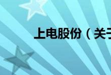 上電股份（關(guān)于上電股份的介紹）