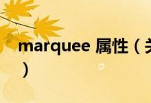 marquee 屬性（關(guān)于marquee 屬性的介紹）