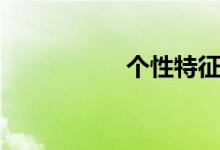 個性特征（個性特征）
