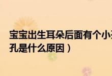 寶寶出生耳朵后面有個小孔是什么（寶寶出生耳朵上有個小孔是什么原因）