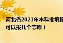 河北省2021年本科批填報志愿時間（2022河北本科提前批可以報幾個志愿）