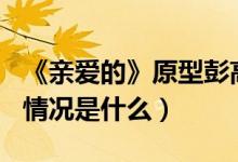 《親愛的》原型彭高峰兒子高考632分（具體情況是什么）