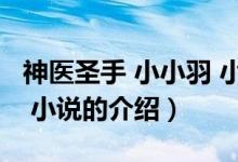 神醫(yī)圣手 小小羽 小說（關(guān)于神醫(yī)圣手 小小羽 小說的介紹）