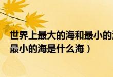 世界上最大的海和最小的海分別是什么（世界上最大的海和最小的海是什么海）