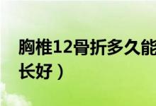 胸椎12骨折多久能開車（胸椎12骨折多久能長好）