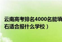云南高考排名4000名能填報(bào)的學(xué)校（云南高考位次40000左右適合報(bào)什么學(xué)校）