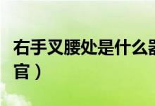 右手叉腰處是什么器官(左手叉腰處是什么器官)