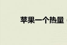 蘋果一個熱量（蘋果一個多少克）