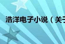 浩洋電子小說（關(guān)于浩洋電子小說的介紹）