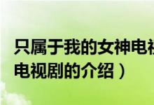只屬于我的女神電視?。P(guān)于只屬于我的女神電視劇的介紹）