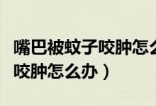 嘴巴被蚊子咬腫怎么辦快速消腫（嘴巴被蚊子咬腫怎么辦）