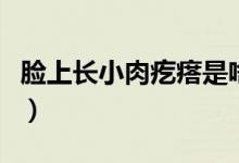 臉上長小肉疙瘩是啥（臉上長小肉疙瘩是什么）