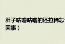 肚子咕嚕咕嚕的還拉稀怎么辦（肚子咕嚕咕嚕的還拉稀怎么回事）