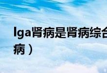 lga腎病是腎病綜合征嗎（lgA腎病是什么疾?。?class=