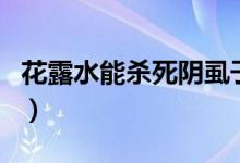 花露水能殺死陰虱子嗎（花露水能殺死螨蟲嗎）