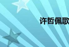 許哲佩歌詞（許哲佩）