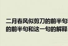 二月春風似剪刀的前半句和這一句的意思（二月春風似剪刀的前半句和這一句的解釋）