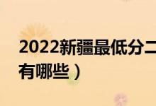 2022新疆最低分二本公辦大學(xué)（值得推薦的有哪些）