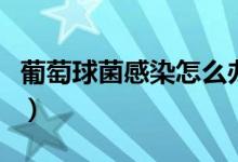 葡萄球菌感染怎么辦（葡萄球菌感染怎么回事）