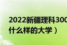 2022新疆理科300多分的公辦大學(xué)（可以上什么樣的大學(xué)）