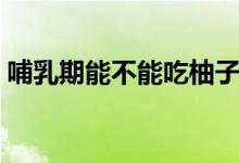 哺乳期能不能吃柚子(哺乳期能不能吃堅(jiān)果)