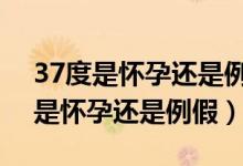 37度是懷孕還是例假還有4天來月經(jīng)（37度是懷孕還是例假）