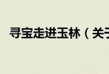 尋寶走進(jìn)玉林（關(guān)于尋寶走進(jìn)玉林的介紹）