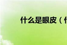 什么是眼皮（什么是眼皮吸脂術(shù)）