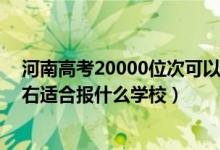 河南高考20000位次可以上大學(xué)（河南高考位次220000左右適合報什么學(xué)校）