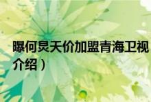 曝何炅天價(jià)加盟青海衛(wèi)視（關(guān)于曝何炅天價(jià)加盟青海衛(wèi)視的介紹）