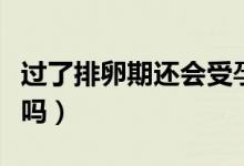 過了排卵期還會受孕嗎（過了排卵期還會懷孕嗎）