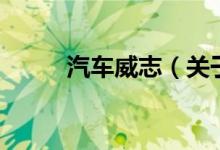 汽車(chē)威志（關(guān)于汽車(chē)威志的介紹）