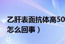 乙肝表面抗體高500多（乙肝表面抗體500多怎么回事）
