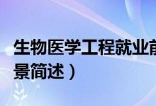 生物醫(yī)學(xué)工程就業(yè)前景（生物醫(yī)學(xué)工程就業(yè)前景簡述）