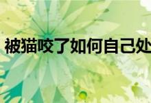 被貓咬了如何自己處理（被貓咬了如何處理）