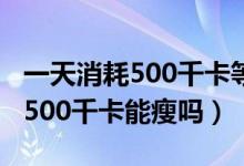 一天消耗500千卡等于多少卡路里（一天消耗500千卡能瘦嗎）