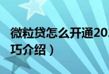 微粒貸怎么開(kāi)通2020（2020年微粒貸開(kāi)通技巧介紹）