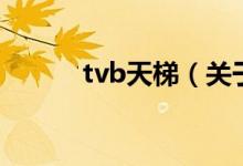 tvb天梯（關(guān)于tvb天梯的介紹）