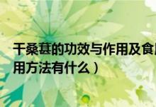 干桑葚的功效與作用及食用方法（干桑葚的功效與作用及食用方法有什么）