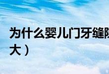 為什么嬰兒門牙縫隙大（為什么嬰兒門牙縫隙大）