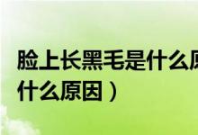 臉上長黑毛是什么原因青春期(臉上長黑毛是什么原因)