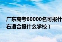 廣東高考60000名可報(bào)什么學(xué)校（廣東高考位次130000左右適合報(bào)什么學(xué)校）