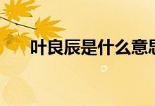 葉良辰是什么意思?。ㄈ~良辰的簡介）
