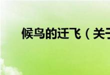 候鳥(niǎo)的遷飛（關(guān)于候鳥(niǎo)的遷飛的介紹）