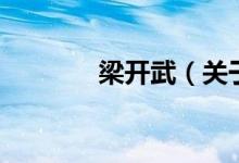 梁開武（關(guān)于梁開武的介紹）
