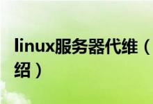 linux服務(wù)器代維（關(guān)于linux服務(wù)器代維的介紹）