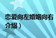 戀愛(ài)向左婚姻向右（關(guān)于戀愛(ài)向左婚姻向右的介紹）