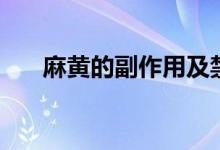 麻黃的副作用及禁忌（麻黃的副作用）
