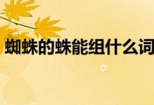 蜘蛛的蛛能組什么詞（蜘蛛的蛛組詞是什么）